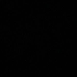 Meet your Posher, Yung